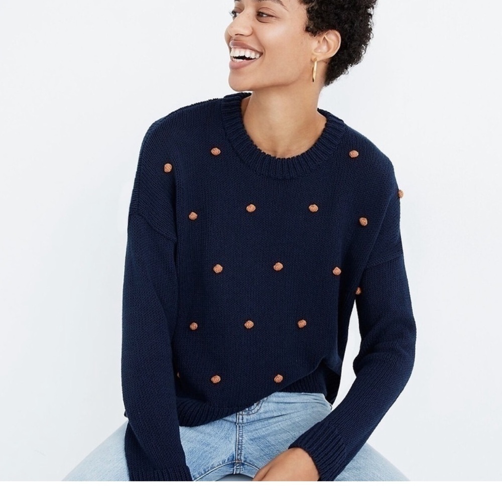 Madewell Navy Sweater with Brown Dots
